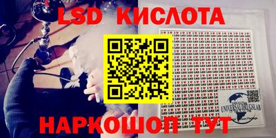 apvp Краснодар