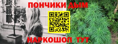apvp Краснодар