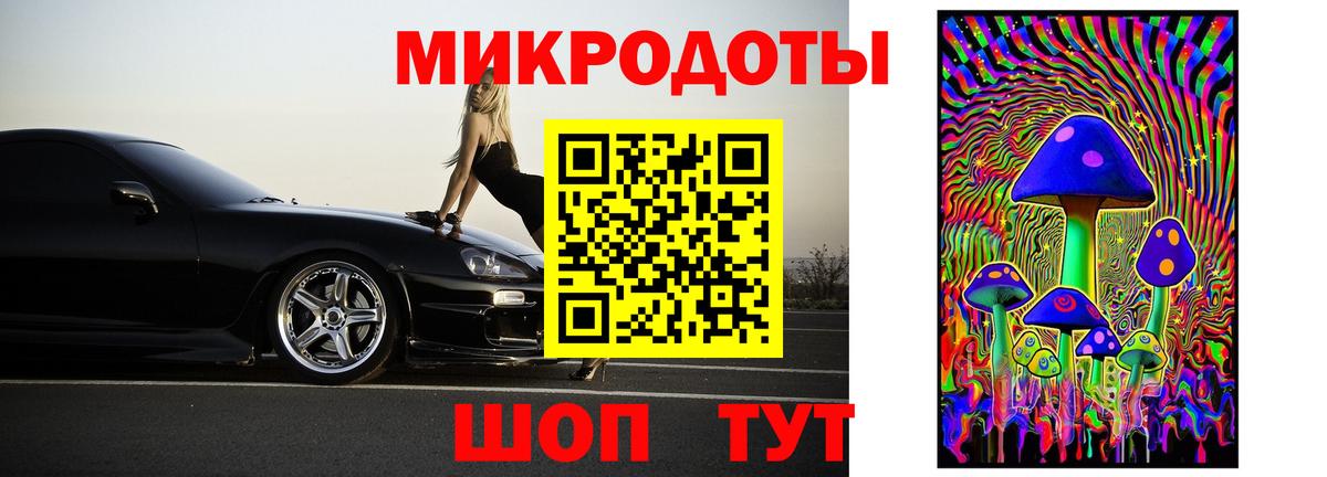 Псилоцибиновые грибы Psilocybe Красноармейск