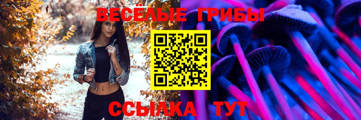 Псилоцибиновые грибы мицелий  Вход с VPN  Красноармейск  Псилоцибиновые грибы Cubensis 